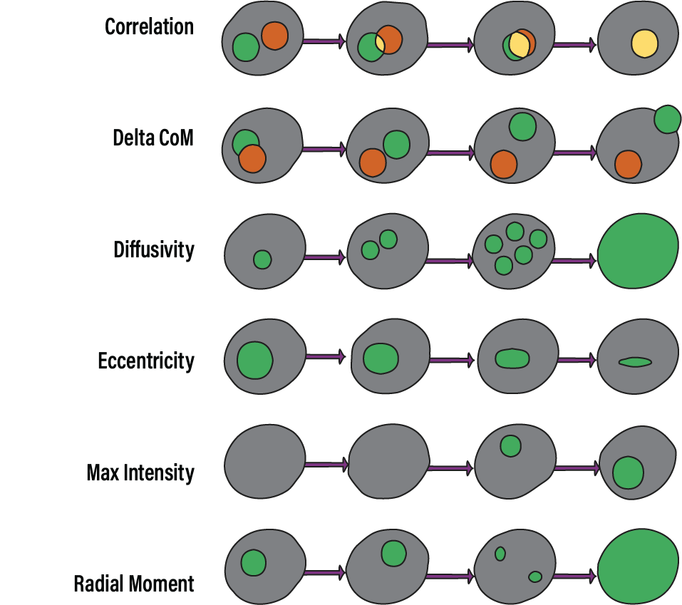 img features