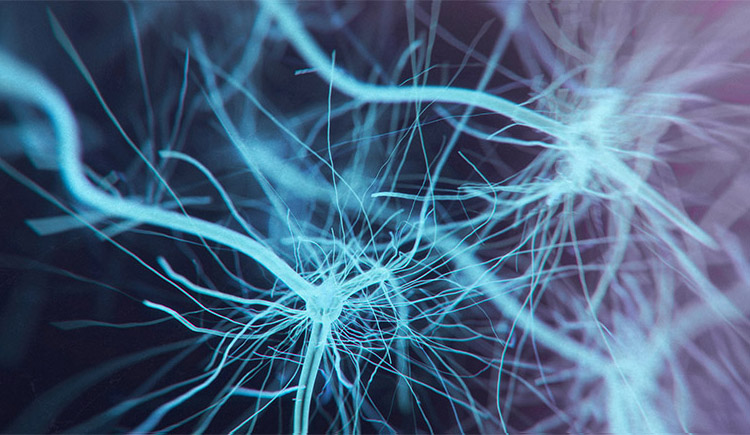 Neurodegenerative 