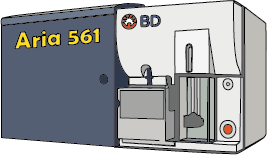 561