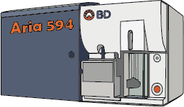 594