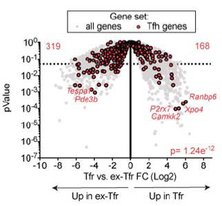 RNA Seq