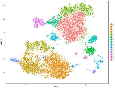 TSNE